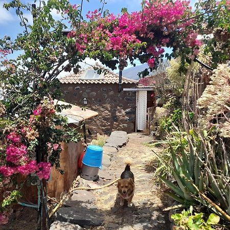 Abracaribes Bed and Breakfast Arecida Buitenkant foto