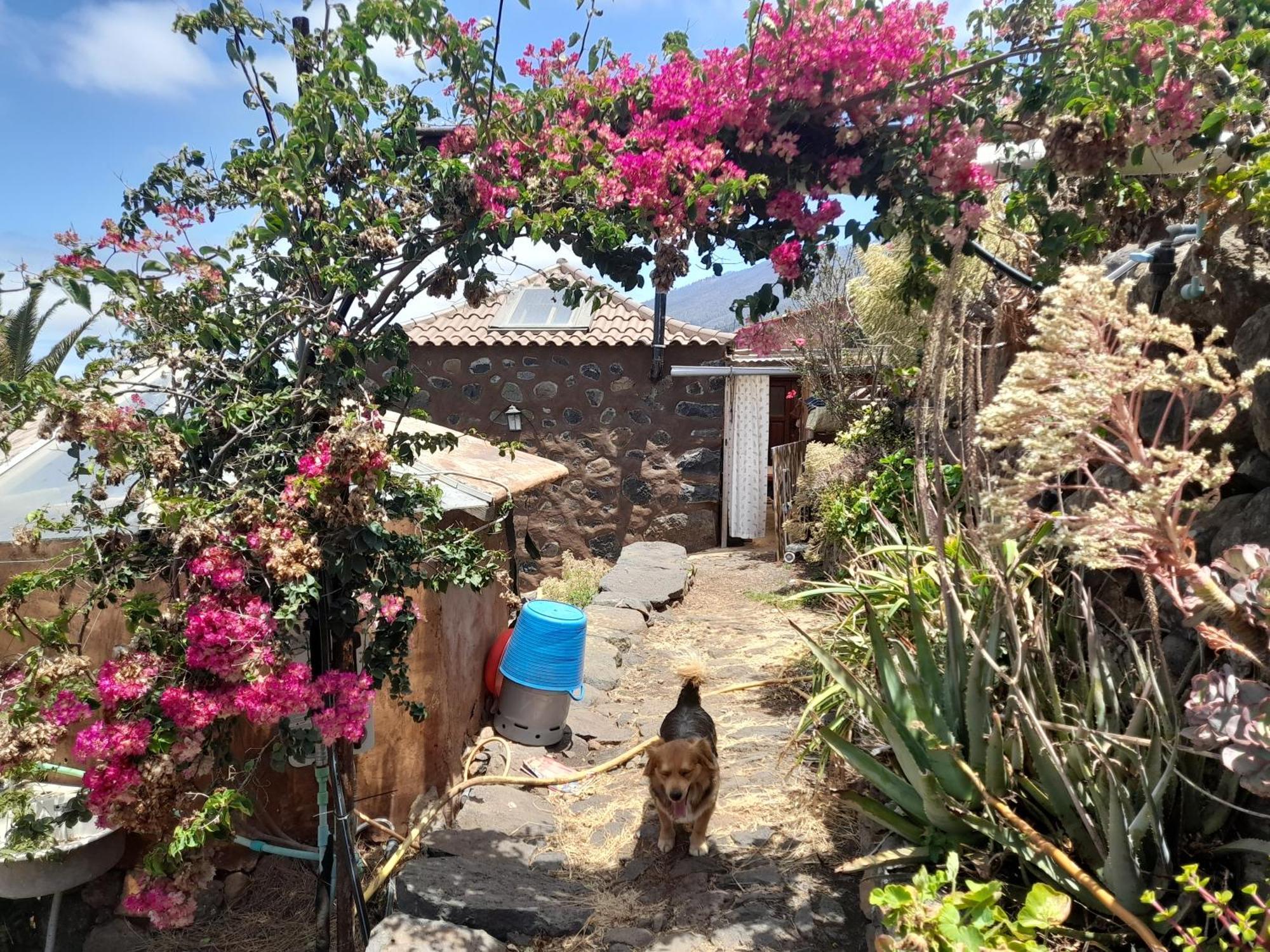 Abracaribes Bed and Breakfast Arecida Buitenkant foto