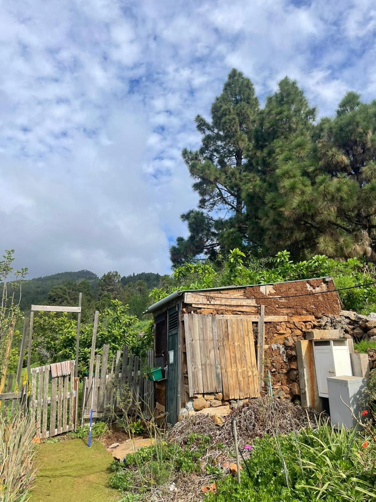 Abracaribes Bed and Breakfast Arecida Buitenkant foto