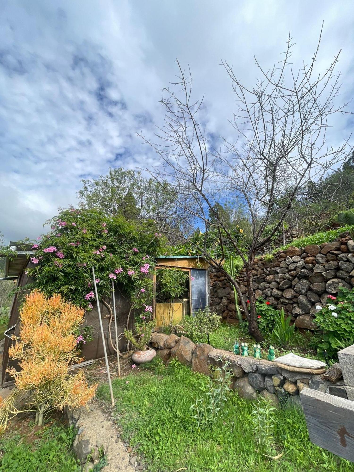 Abracaribes Bed and Breakfast Arecida Buitenkant foto