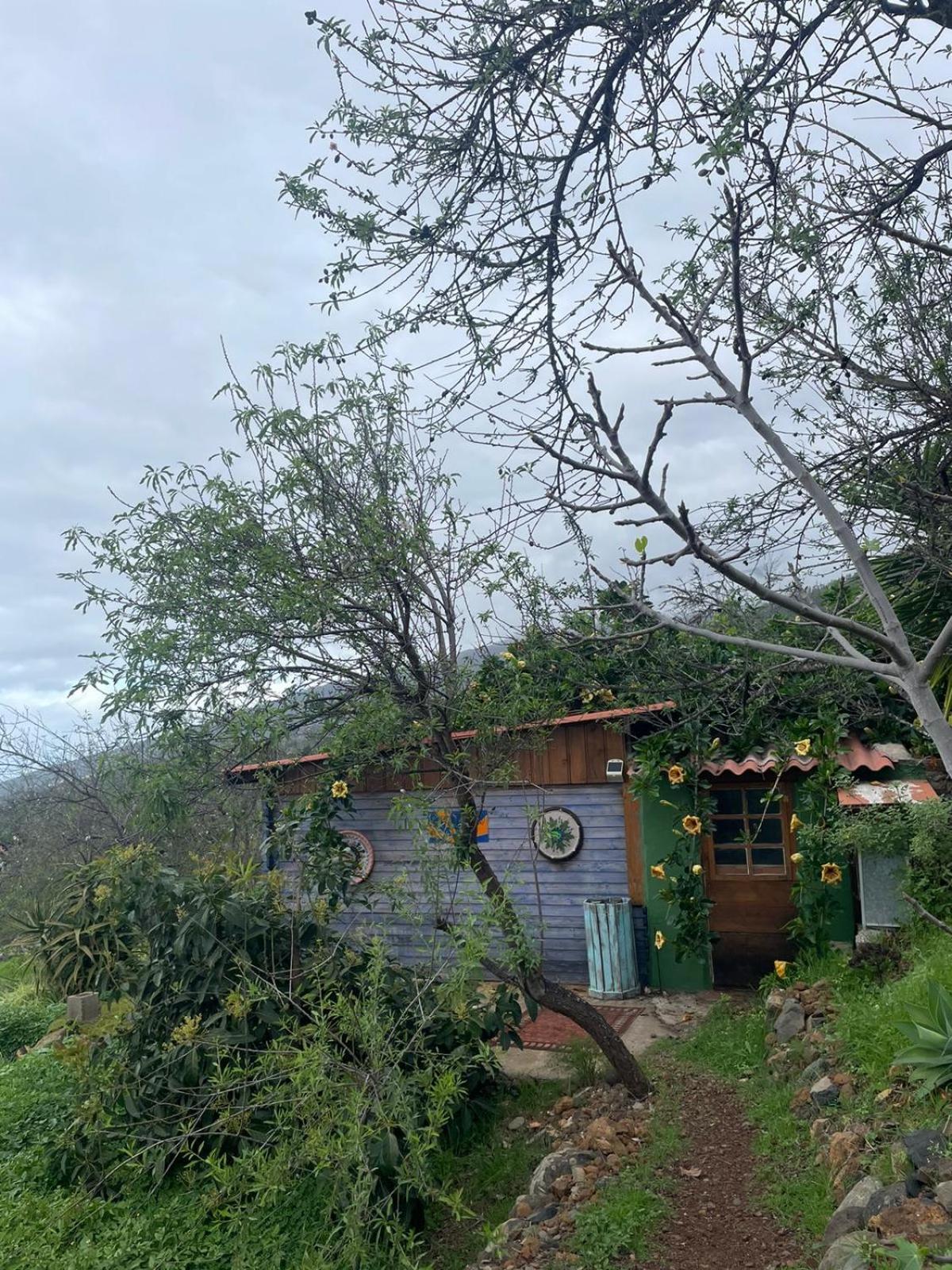 Abracaribes Bed and Breakfast Arecida Buitenkant foto