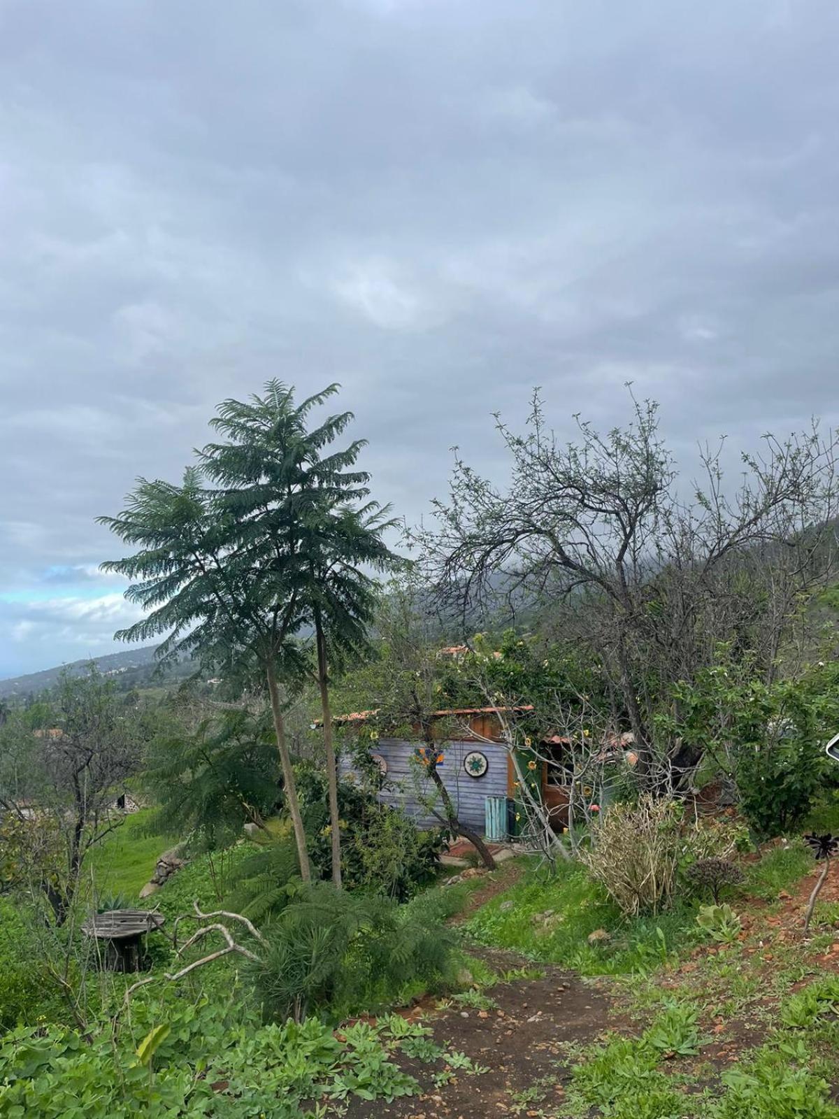 Abracaribes Bed and Breakfast Arecida Buitenkant foto