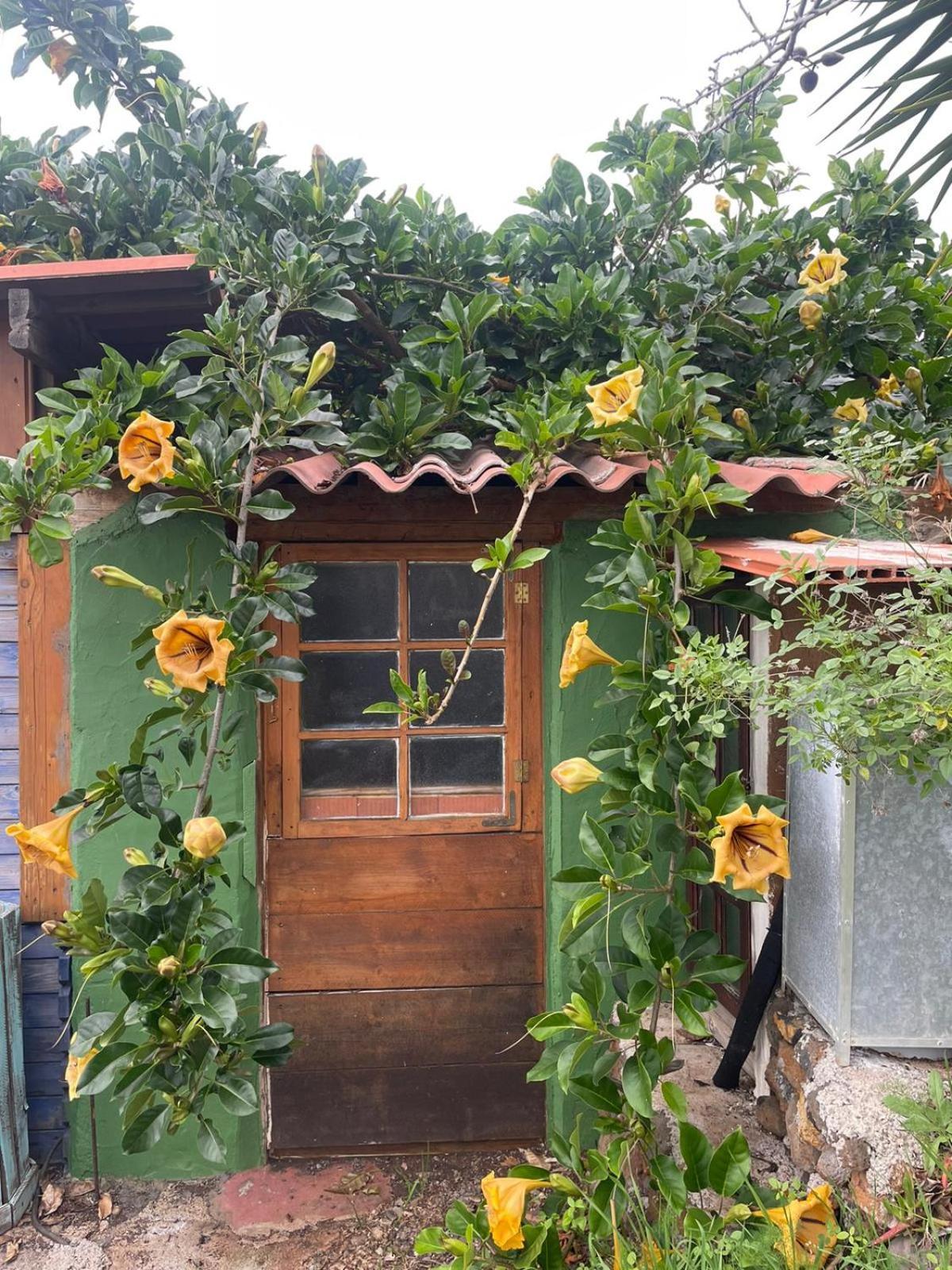 Abracaribes Bed and Breakfast Arecida Buitenkant foto