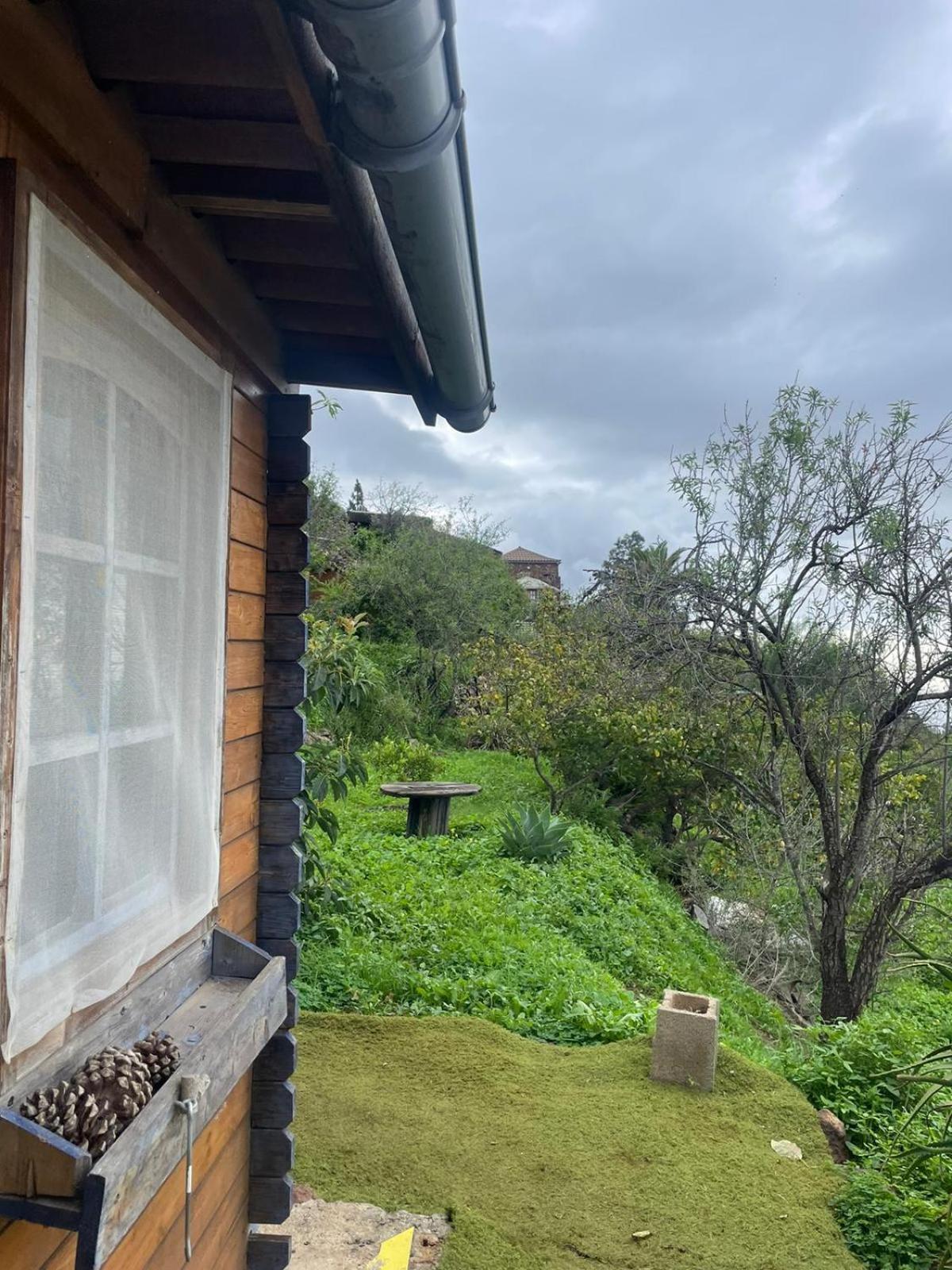 Abracaribes Bed and Breakfast Arecida Buitenkant foto