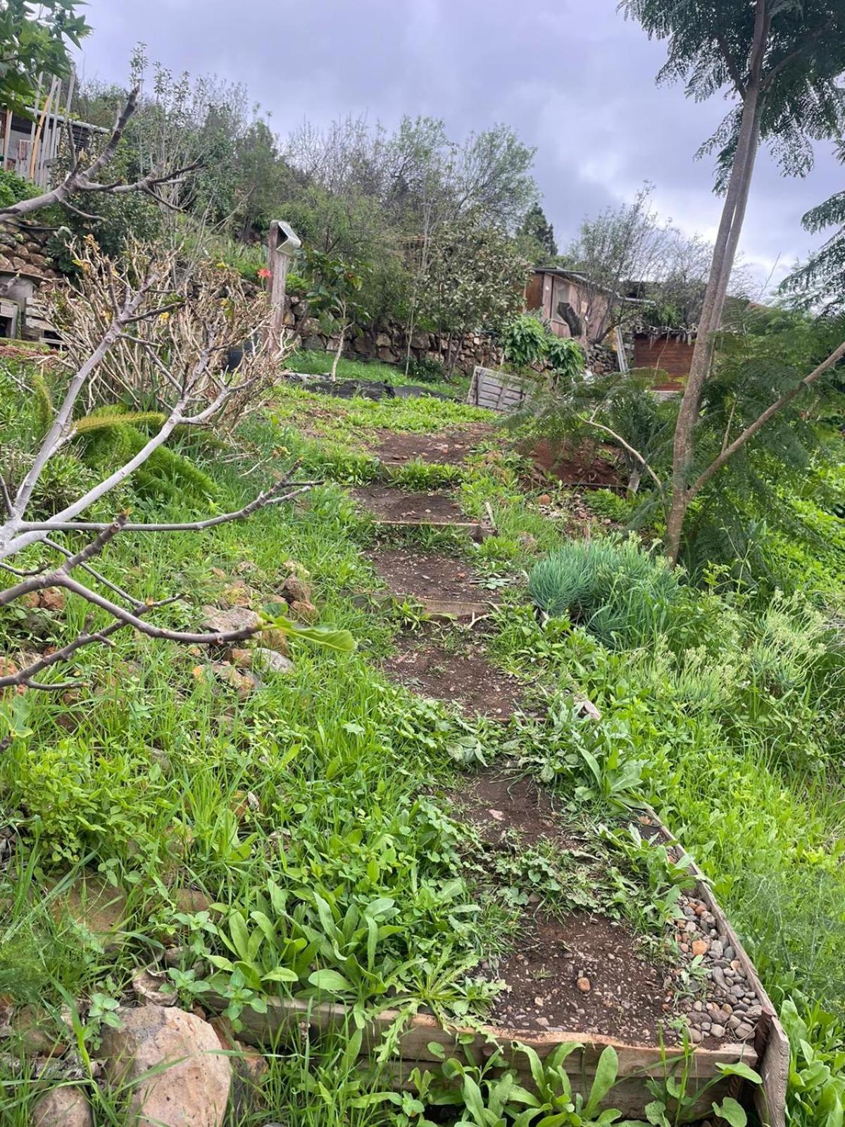 Abracaribes Bed and Breakfast Arecida Buitenkant foto