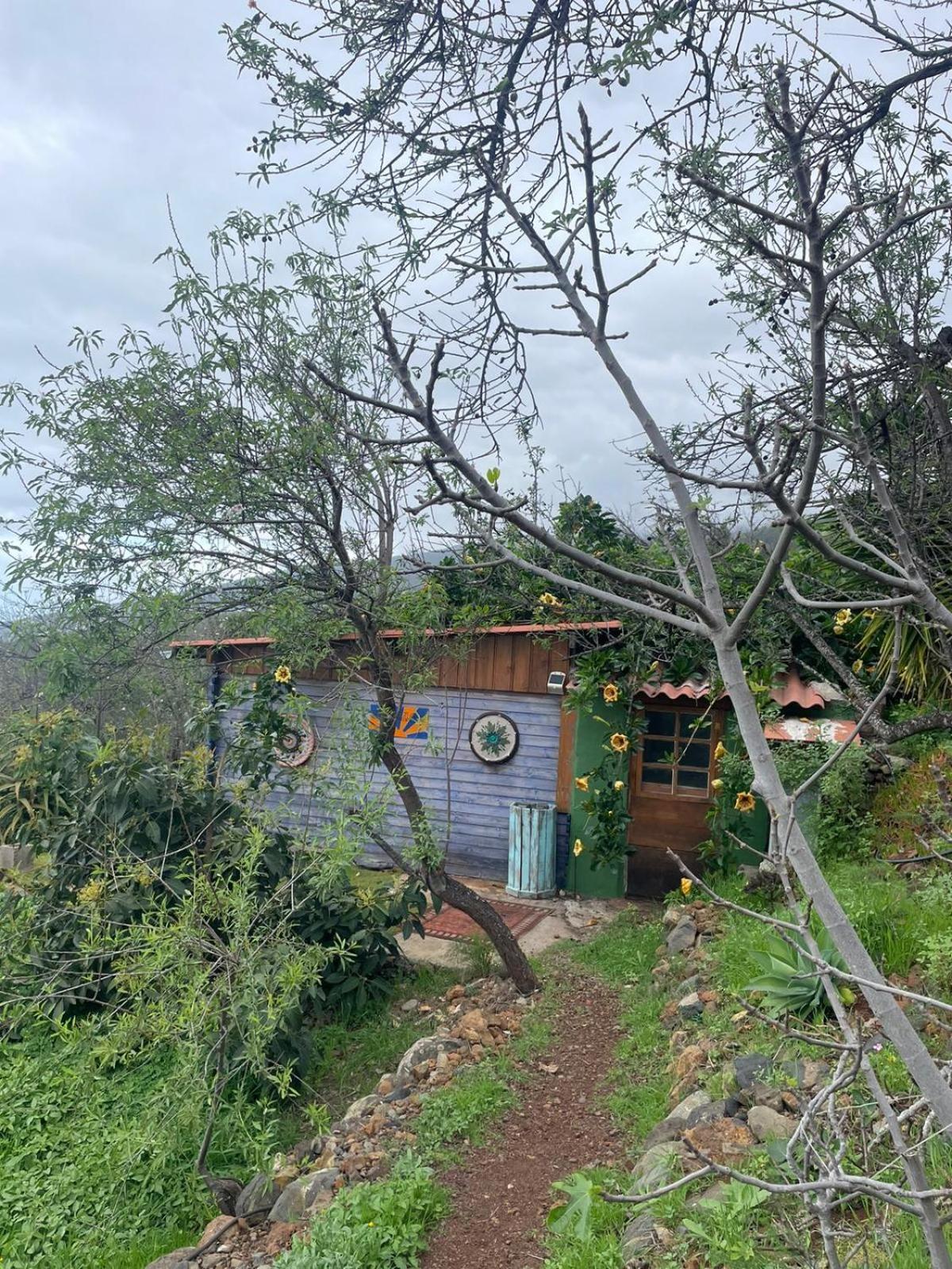 Abracaribes Bed and Breakfast Arecida Buitenkant foto